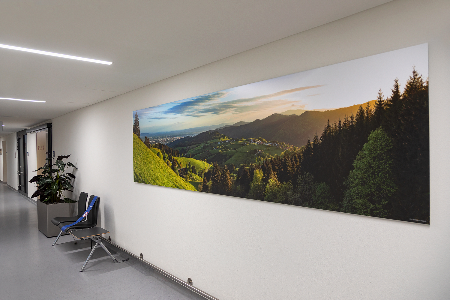 Panoramabild “Blick auf Horben“ im Format 350cm x 95 cm in Toraxchirurgie (Prof. Passlick), Uniklinik Freiburg