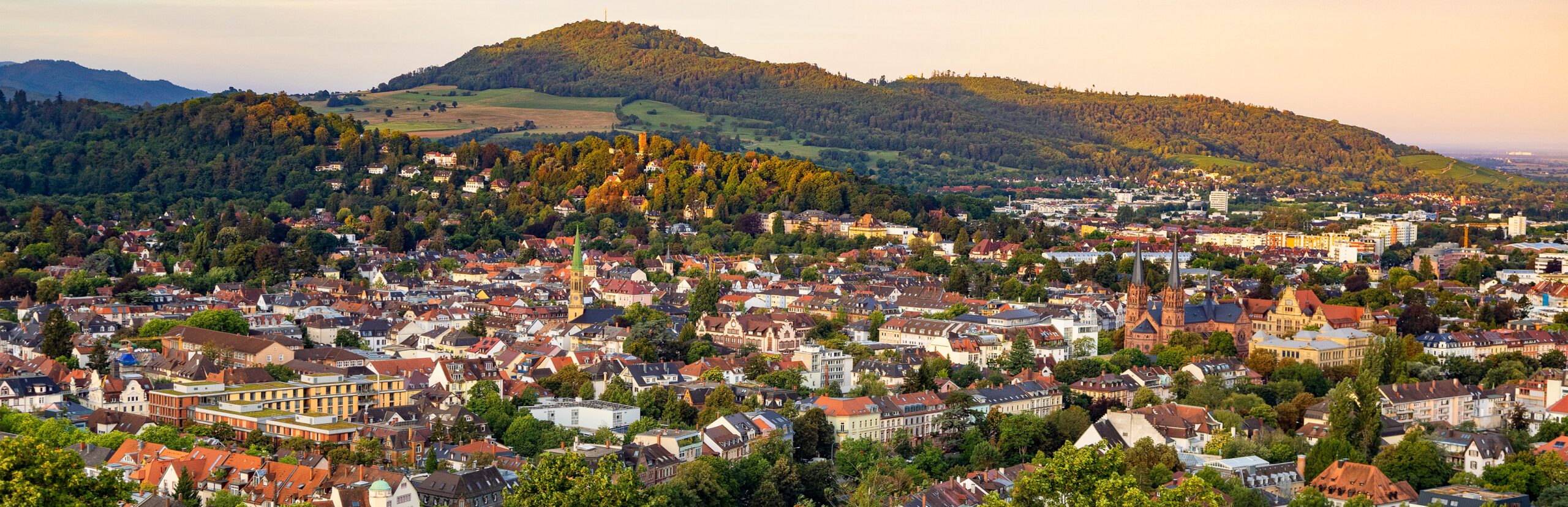 _MG_5716_g_Websharpener_1100x3400