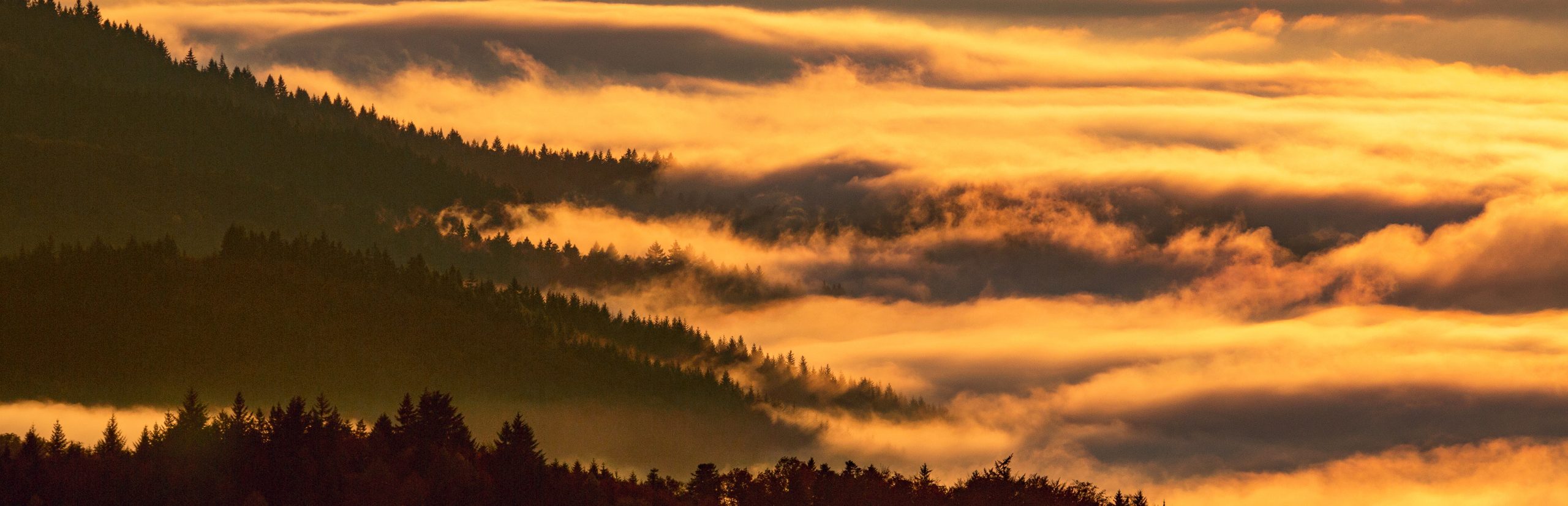 Blick von St. Ulrich nach Südwesten, Schwarzwald