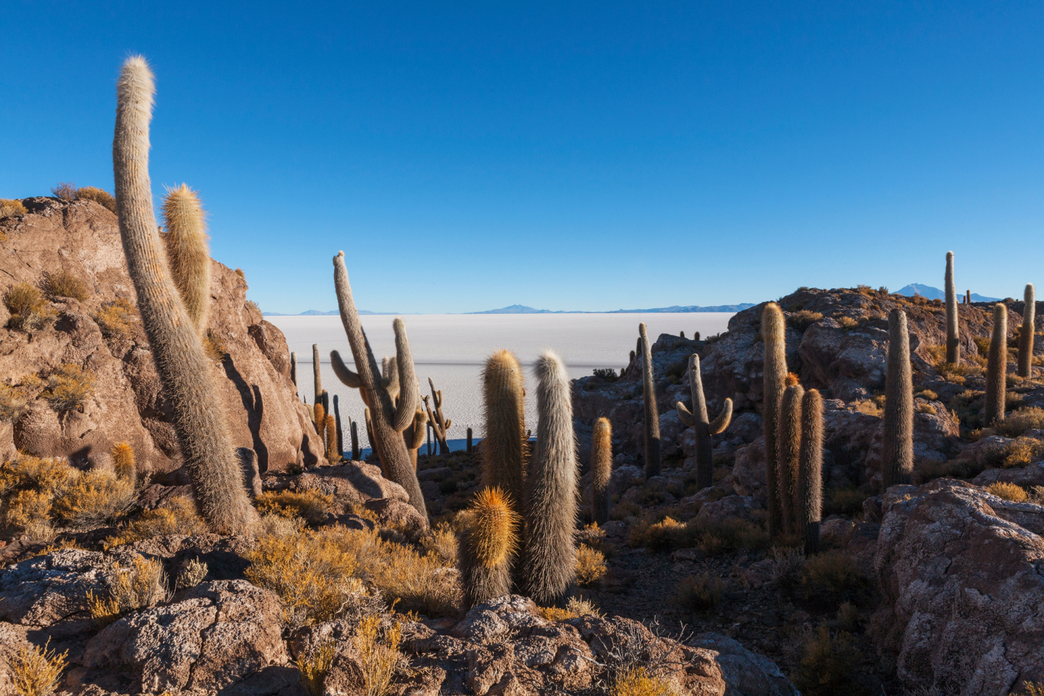 Salar de Uyuni