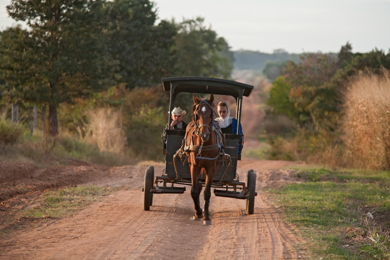 Mennoniten, Colonia Nueva Esperanza