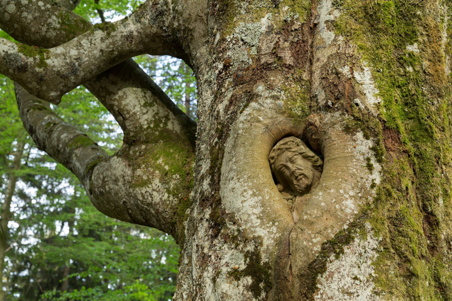 07 - Balzer Herrgott bei Gütenbach