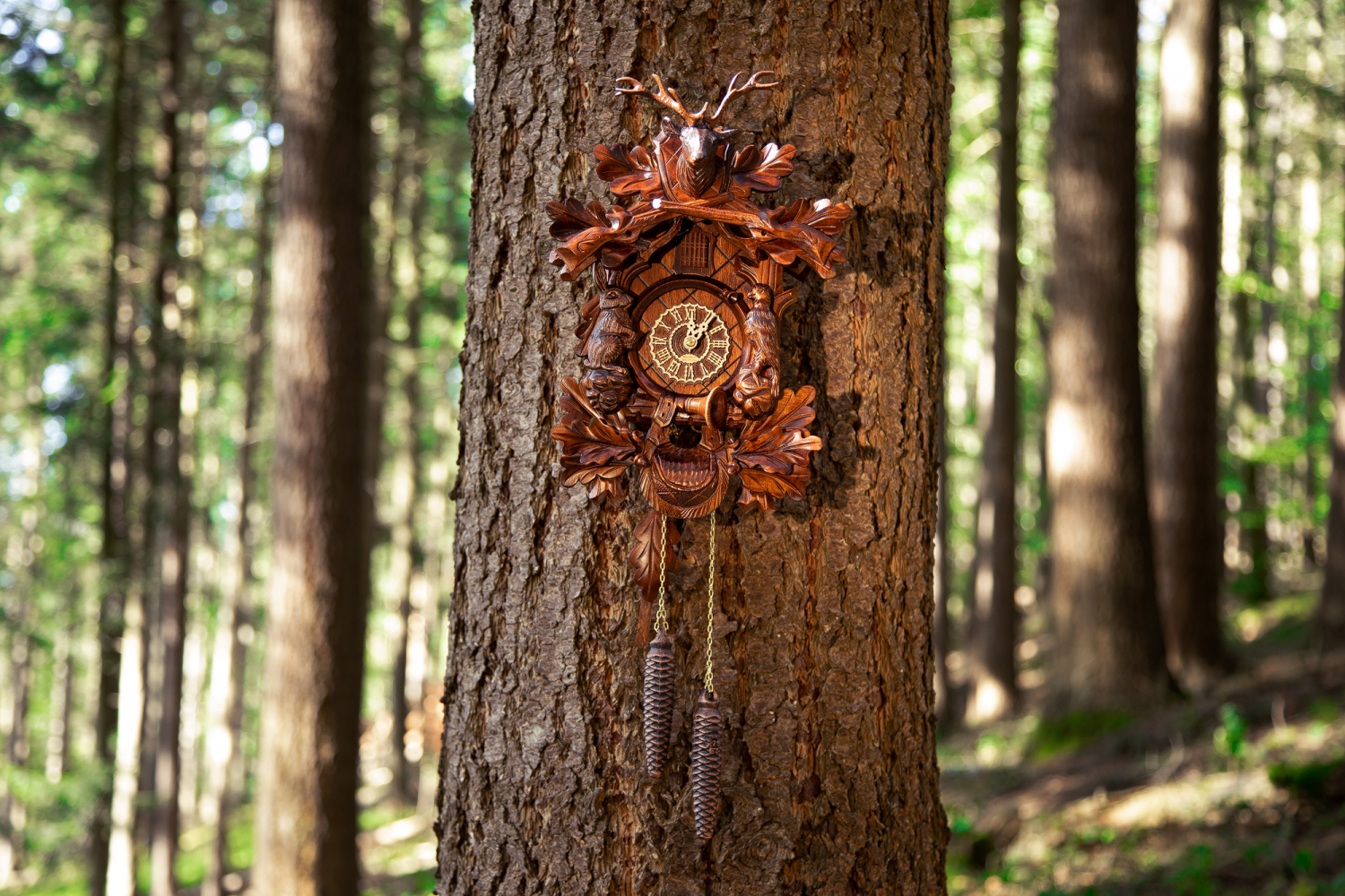 01 - Schwarzwälder Kuckucksuhr