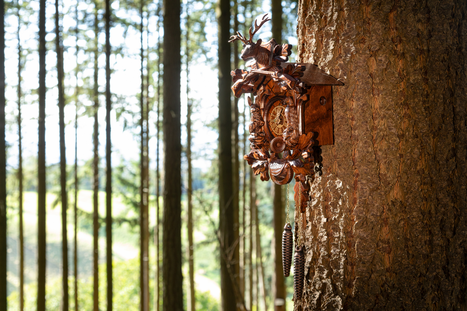 03 - Schwarzwälder Kuckucksuhr