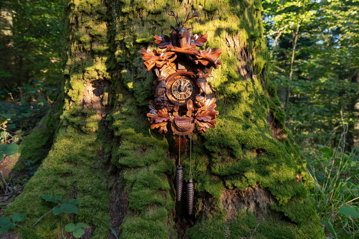 02 - Schwarzwälder Kuckucksuhr