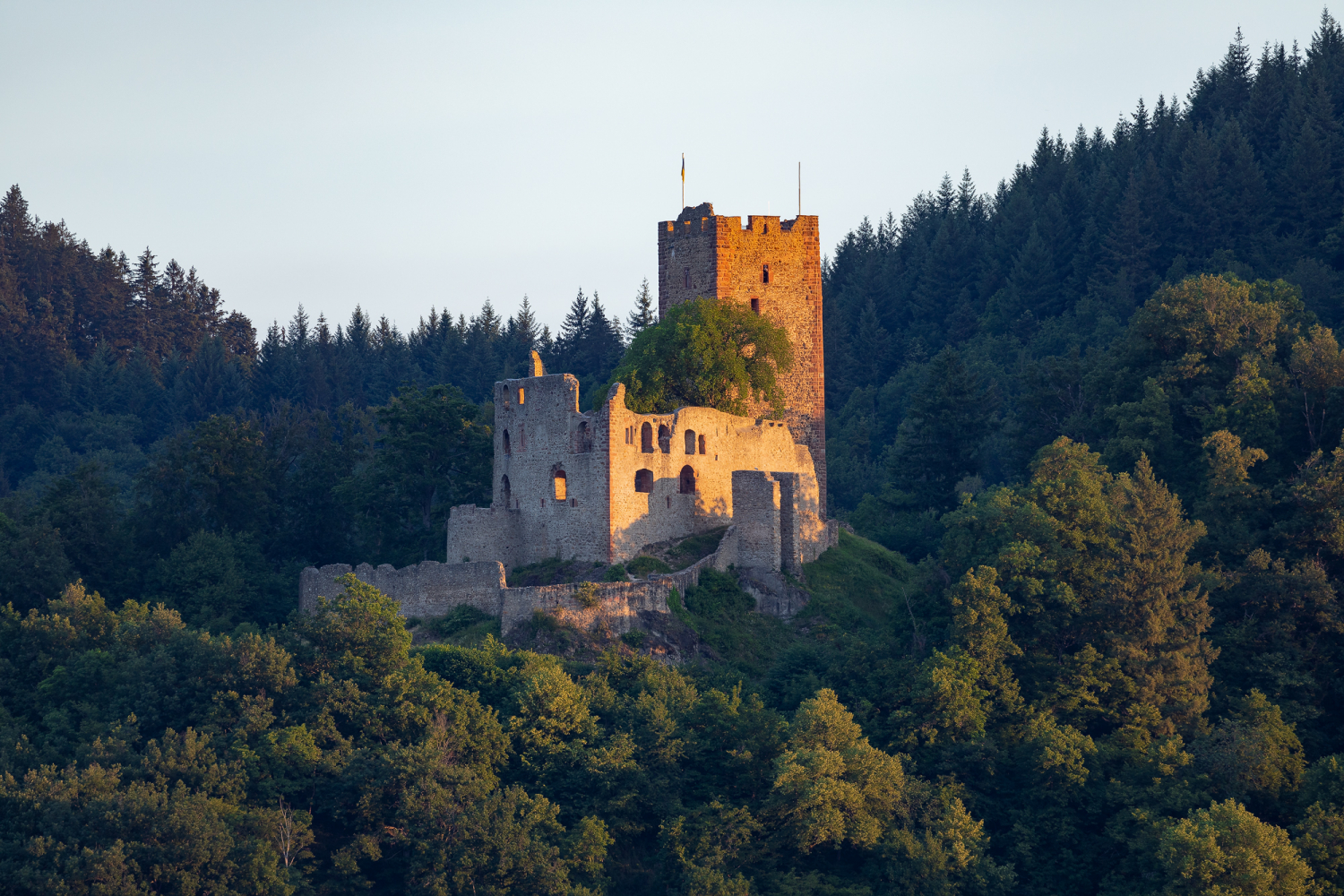 Kastelburg in Waldkirch, Schwarzwald