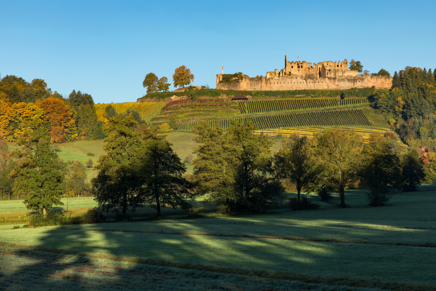 Hochburg bei Emmendingen, Schwarzwald