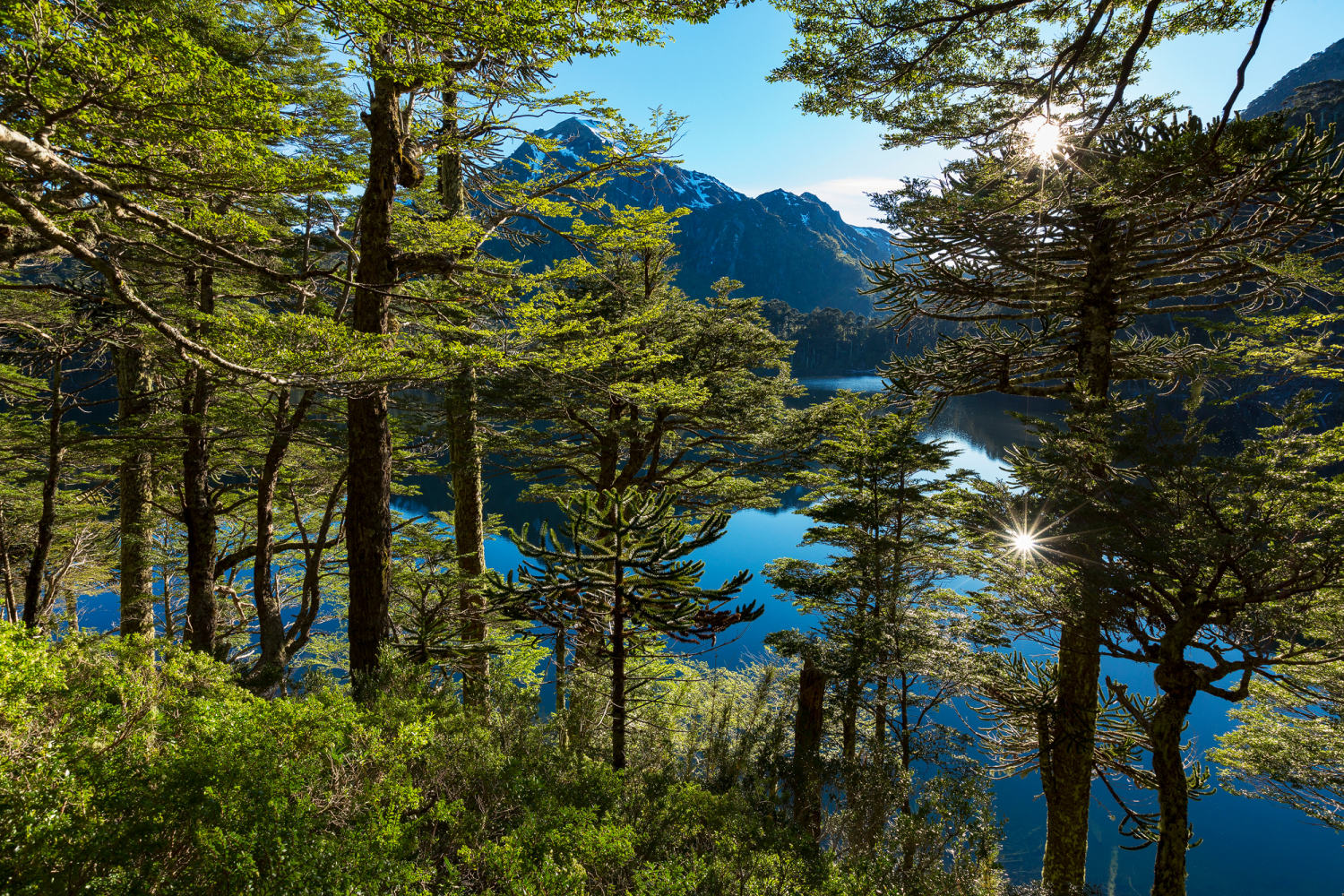 Am Lago El Toro, Nationalpark Huerquehue