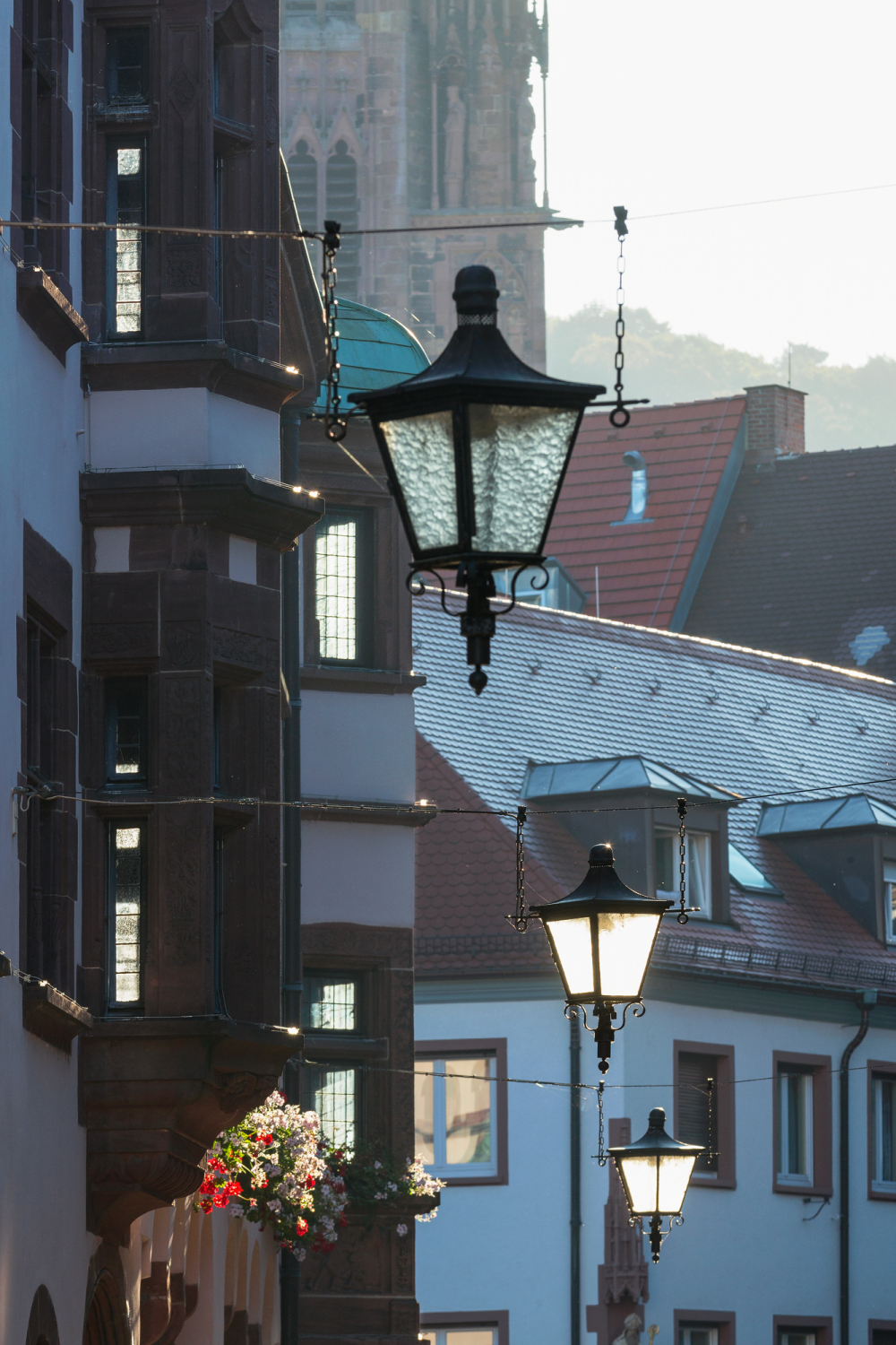 11 - Rathausgasse, Freiburg