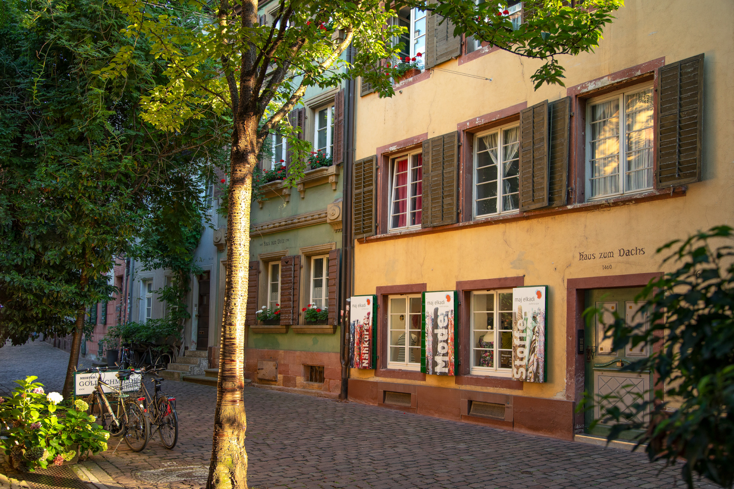 06 - Haus zum Dachs auf der Insel, Freiburg