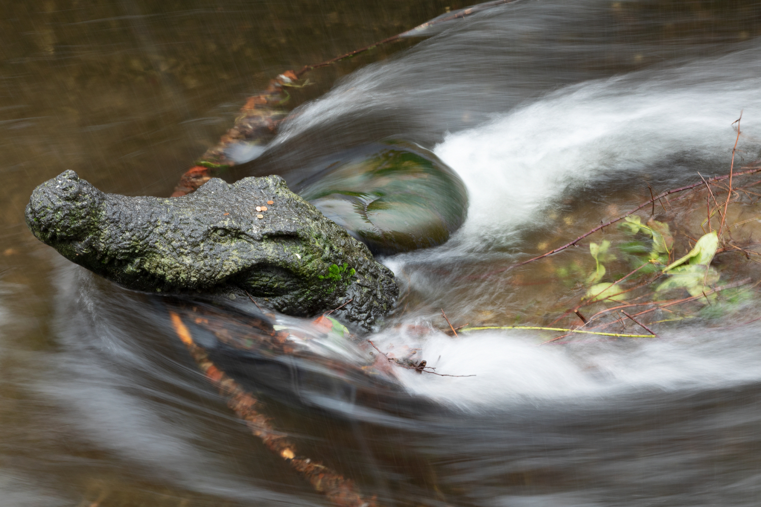 03 - Krokodil im Gewerbekanal
