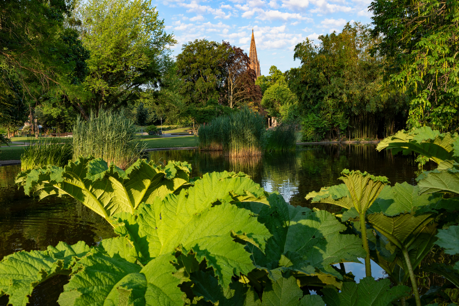 02 - Stadtgarten mit Münster im Hintergrund