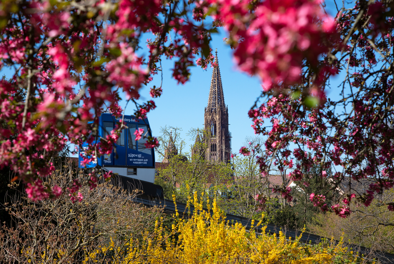 03 - Stadtgarten mit Münster im Hintergrund