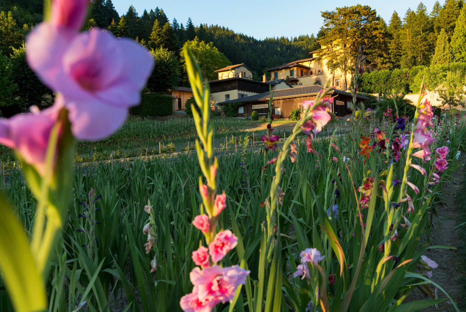 03 - Kloster Lioba in Günterstal