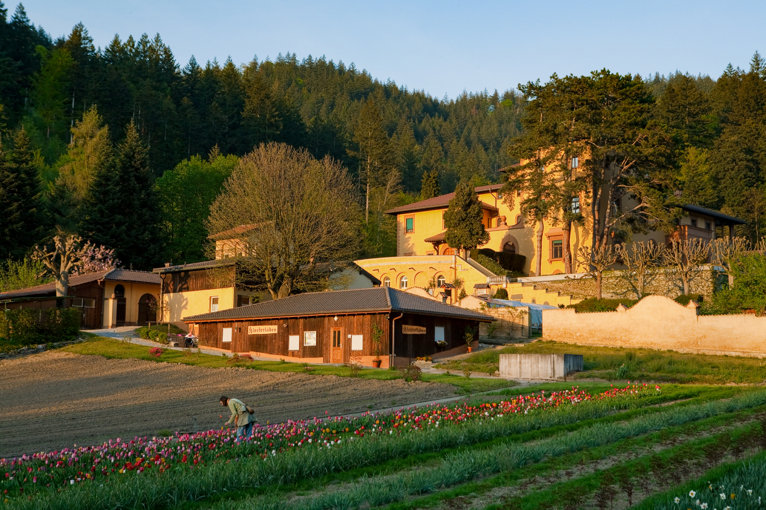 04 - Kloster Lioba in Günterstal