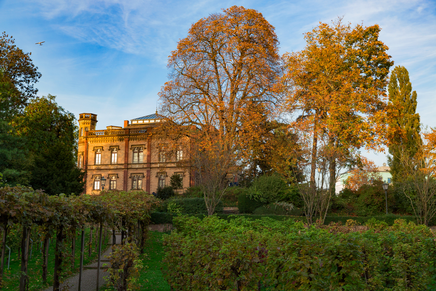 10 - Archäologisches Museum Colombischlössle