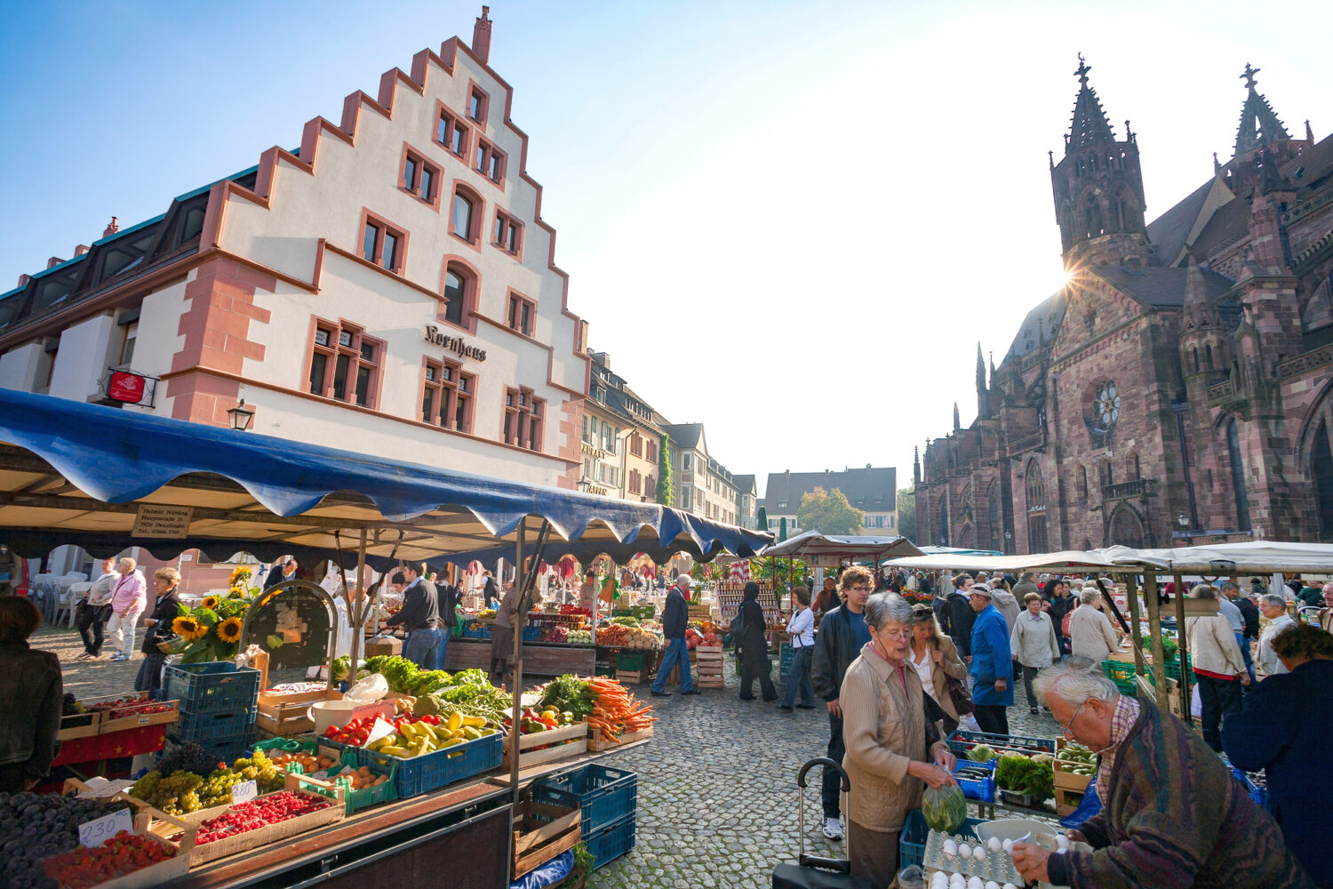 11 - Marktstände auf dem Münsterplatz, Freiburg