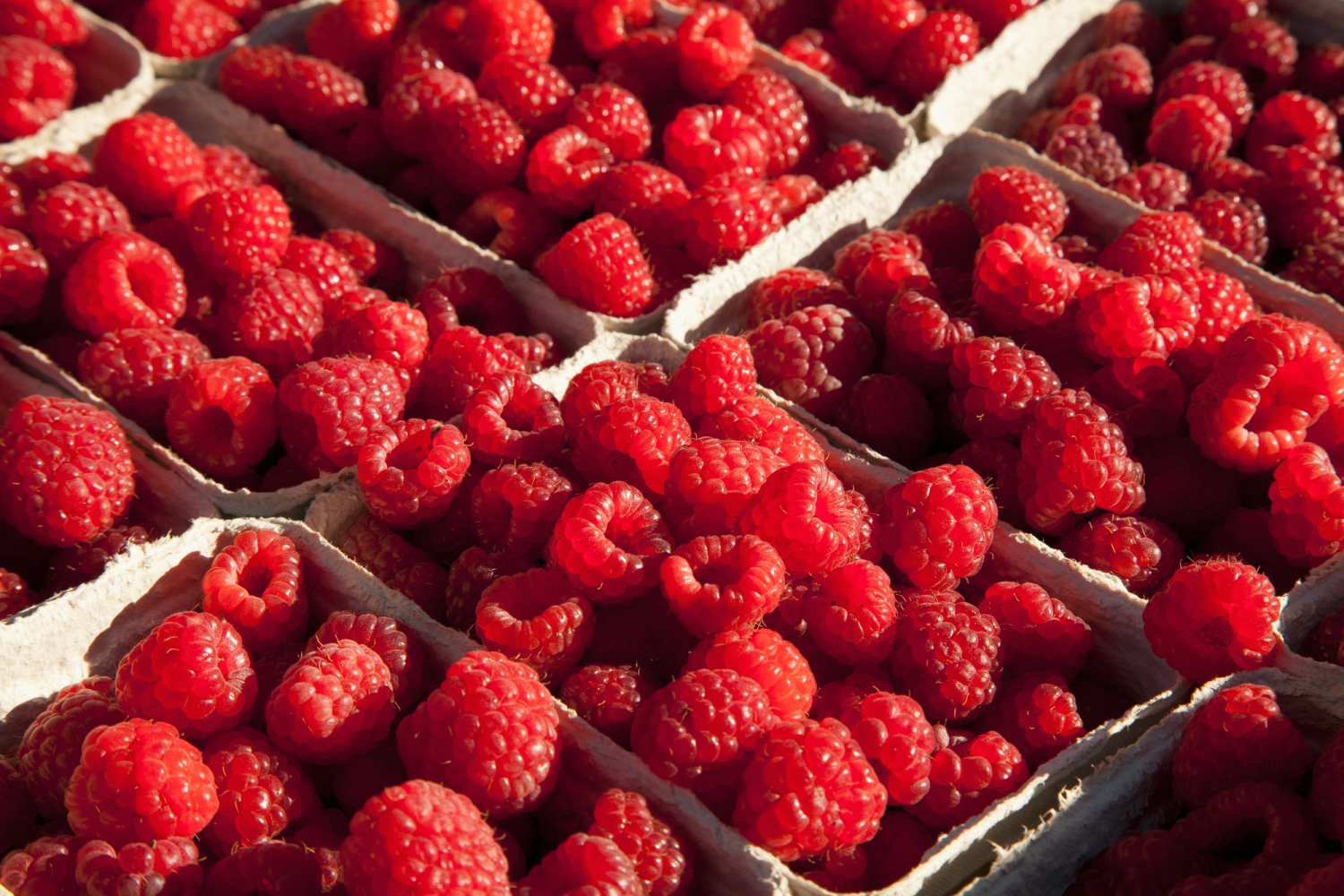 05 - Himbeeren - Marktstand auf dem Münsterplatz