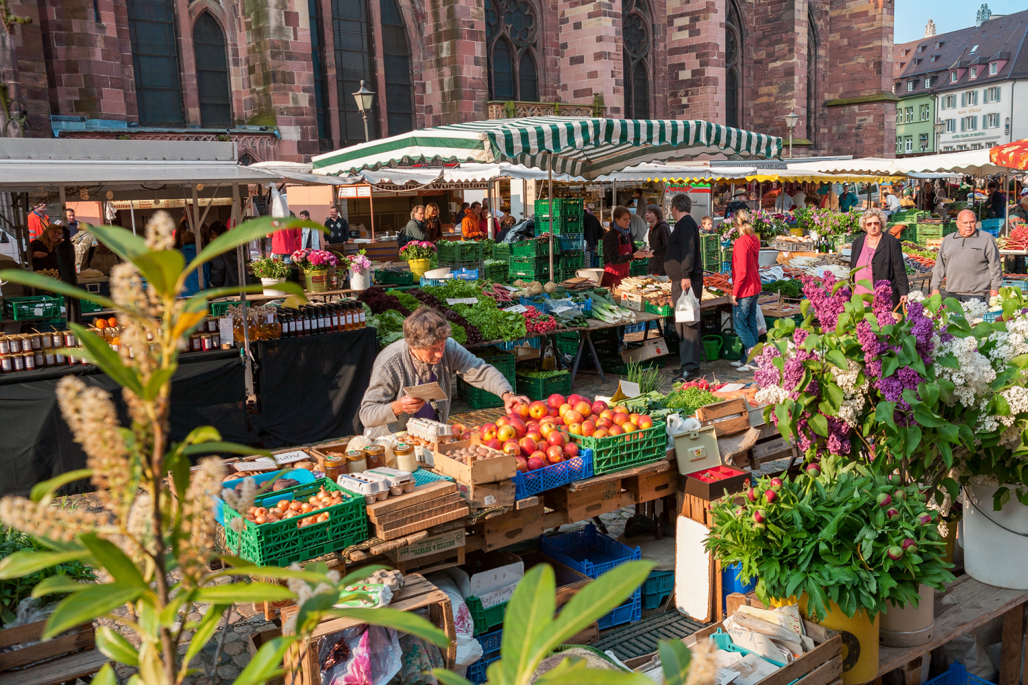06 - Marktstände auf dem Münsterplatz, Freiburg