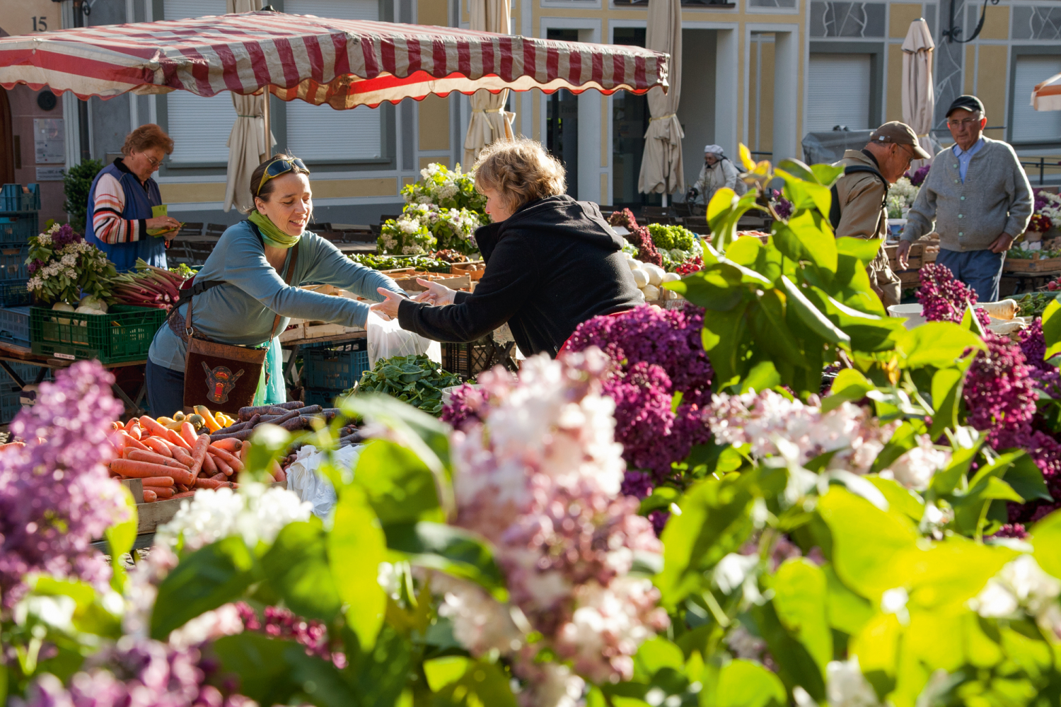 09 - Marktstände auf dem Münsterplatz, Freiburg