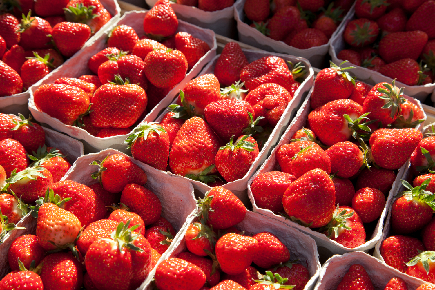 12 - Erdbeeren - Marktstand auf dem Münsterplatz