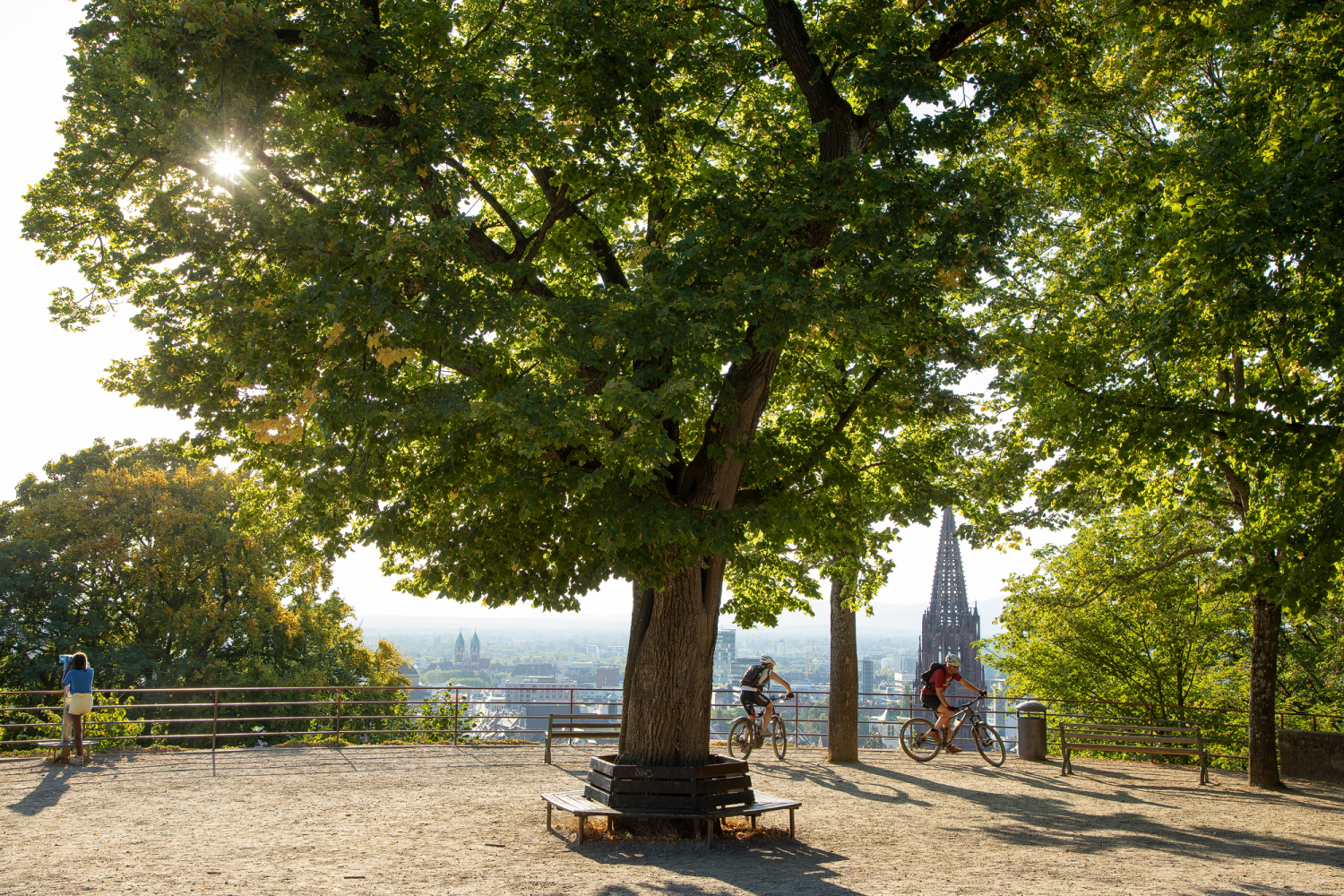 12 - Kanonenplatz mit Münster, Freiburg