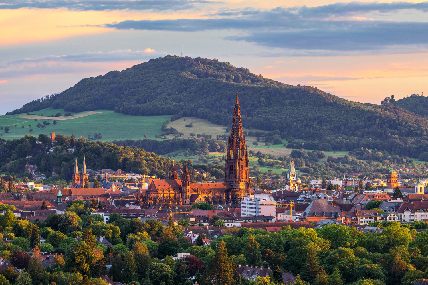 10 - Blick vom Stadtteil Herdern auf die Innenstadt