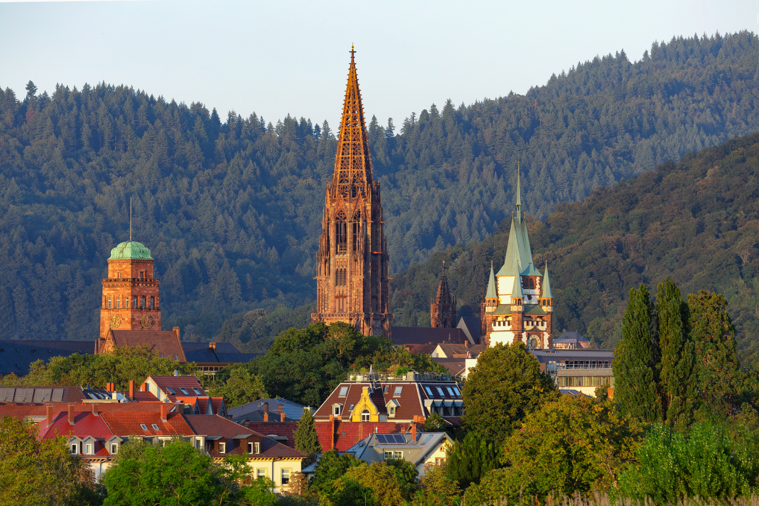 02 - Uniturm, Münster und Martinstor, Freiburg