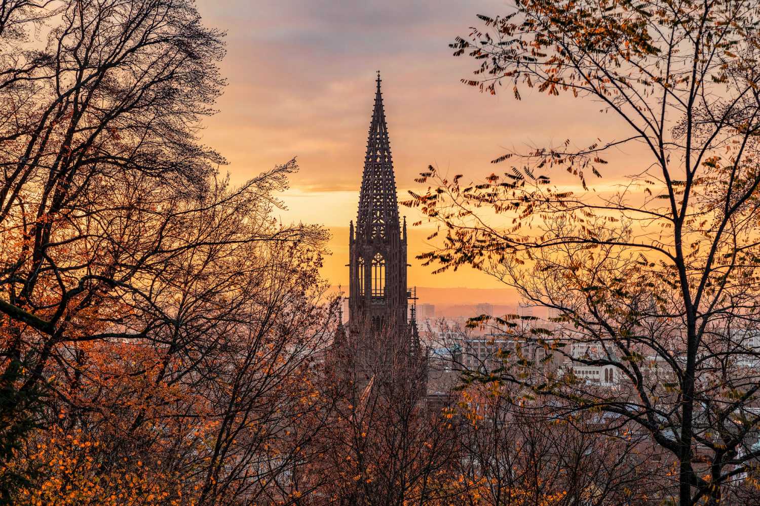 02 - Blick auf das Münster von Osten