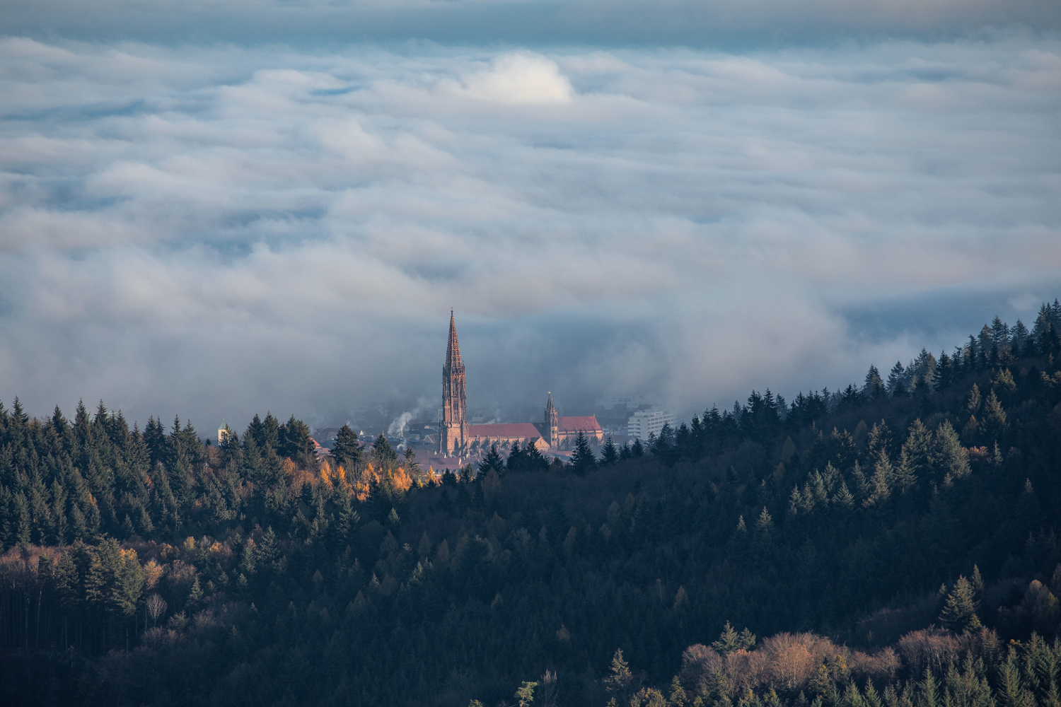 07 - Freiburger Münster im Nebelmeer