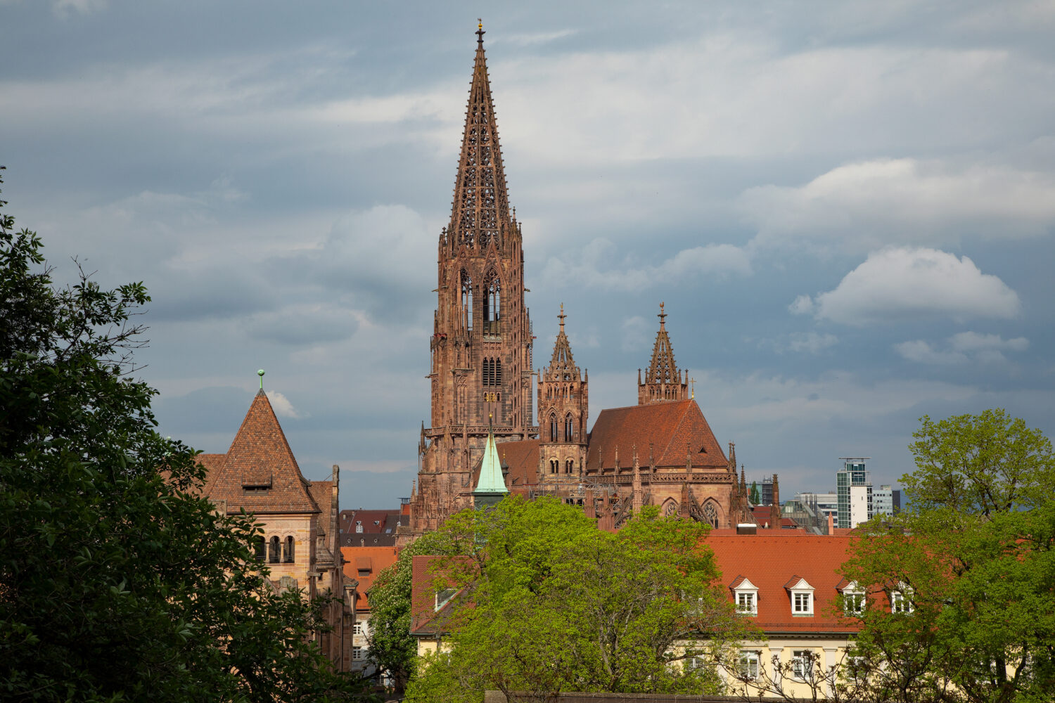 04 - Blick auf das Münster von Osten