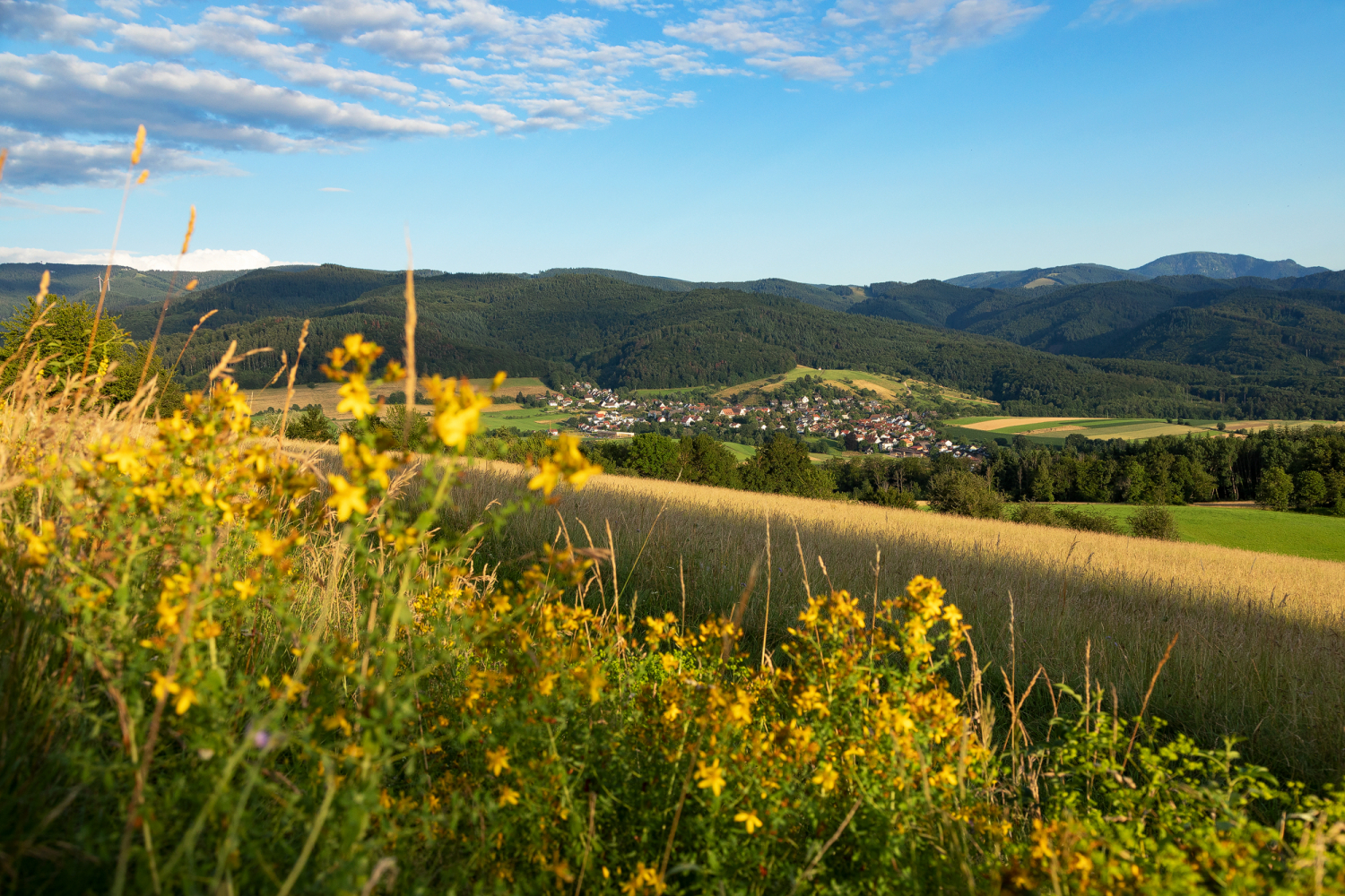 Blick vom Schönberg auf Sölden, Hexental