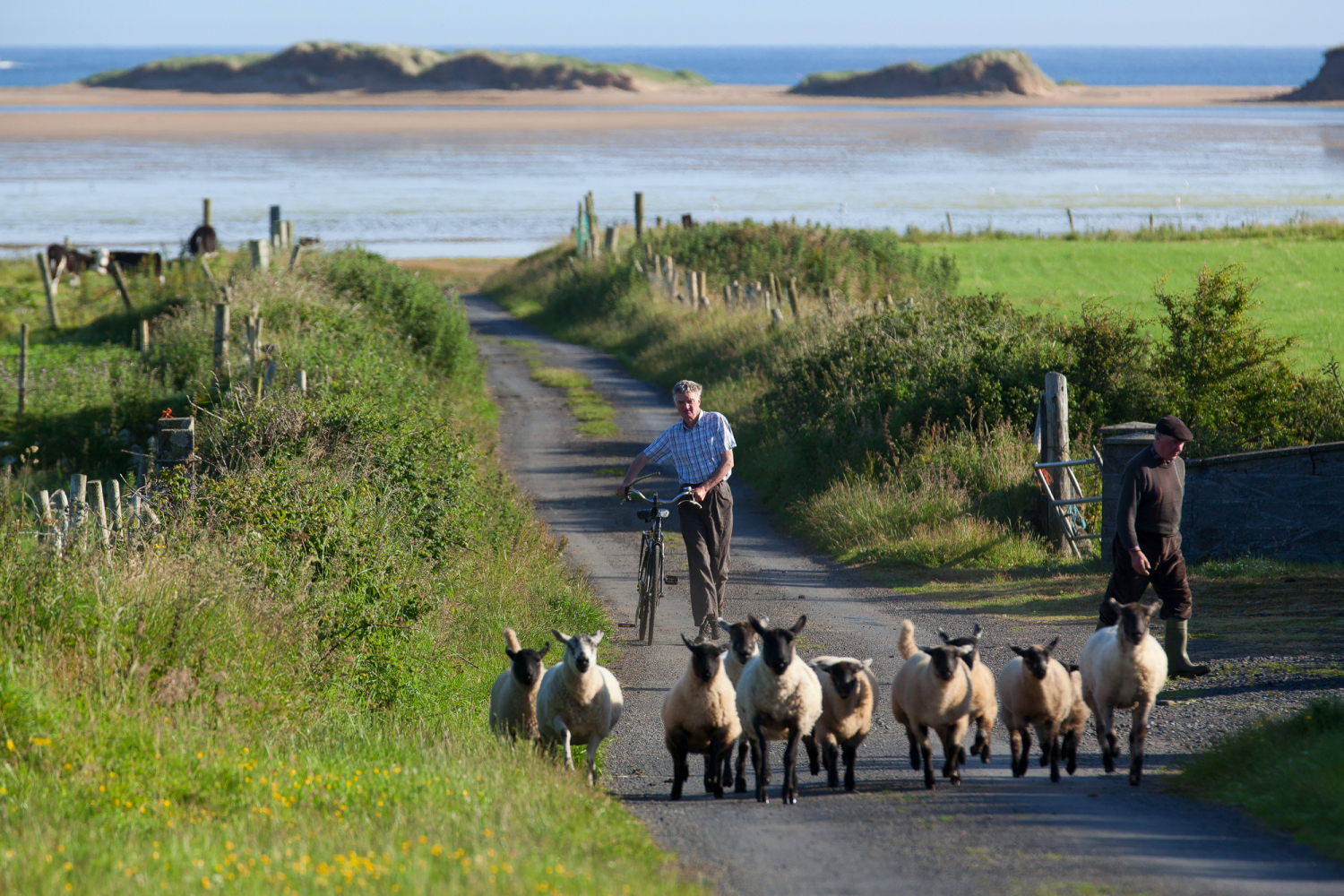 Killala Bay, Co. Mayo
