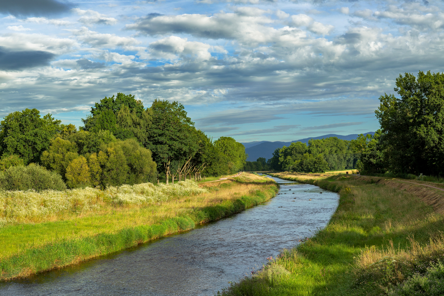 Blick auf die Dreisam zwischen Bahlingen a.K. und Neuershausen