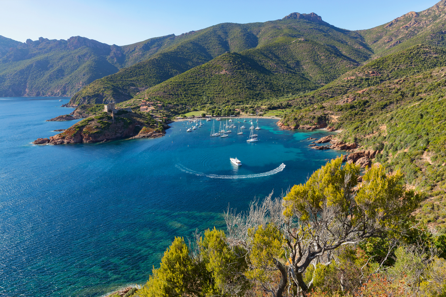 Golf von Girolata, Korsika