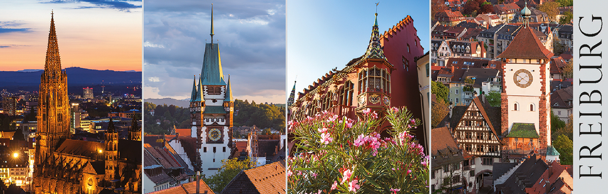 Freiburg-Panorama-Magnet FR-P-02