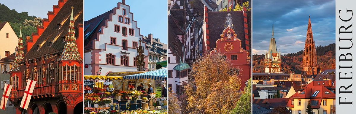 Freiburg-Panorama-Magnet FR-P-03