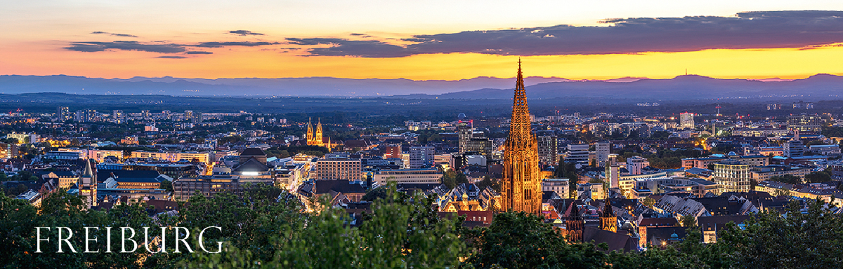 Freiburg-Panorama-Magnet FR-P-04