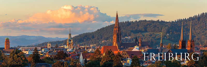 Freiburg-Panorama-Magnet FR-P-05