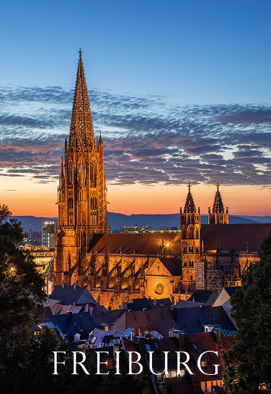 Freiburg-Magnet FR-M-118