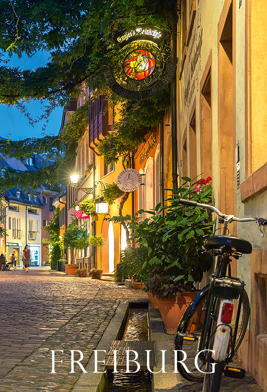 Freiburg-Magnet FR-M-123