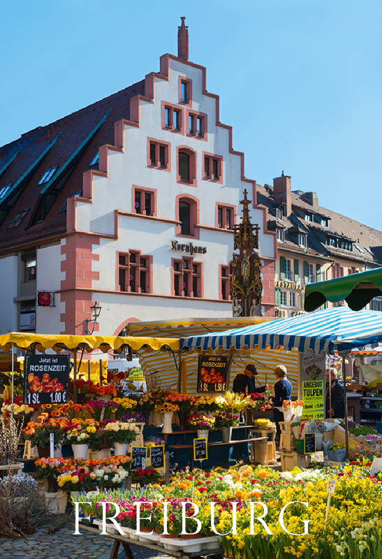 Freiburg-Magnet FR-M-59