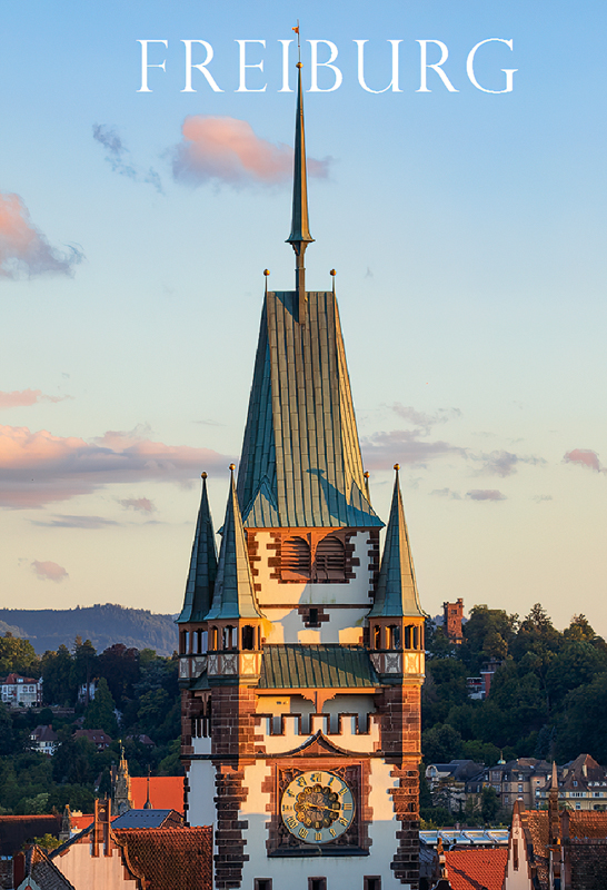 Freiburg-Magnet FR-M-90