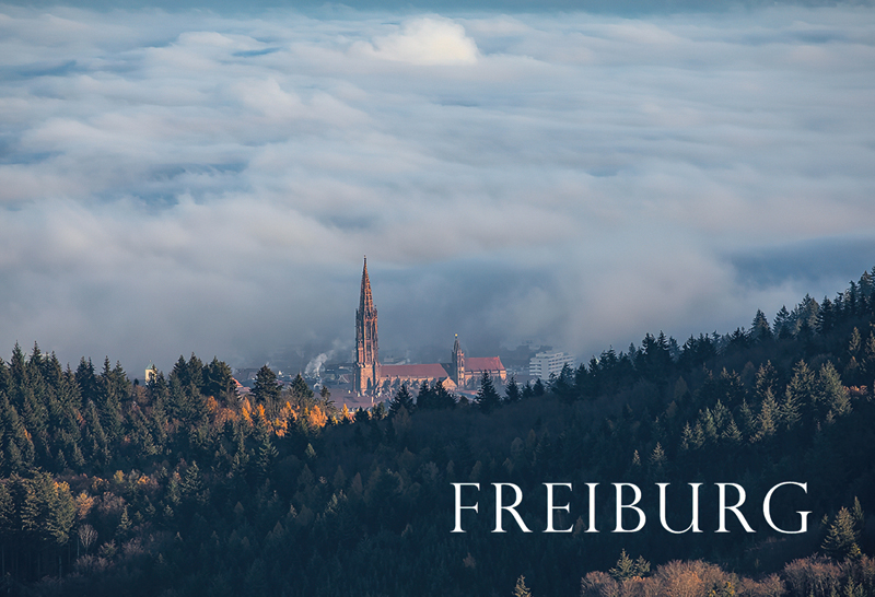 Freiburg-Magnet FR-M-108