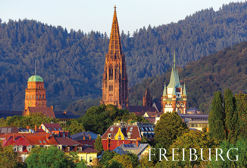 Freiburg-Magnet FR-M-113