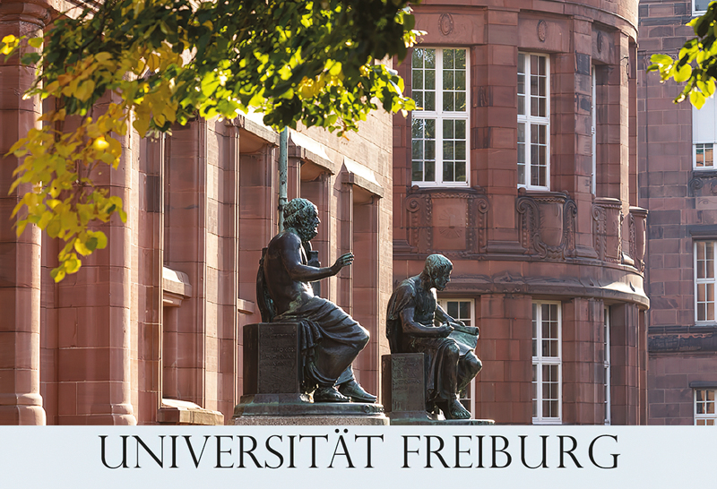 Freiburg-Magnet FR-M-114