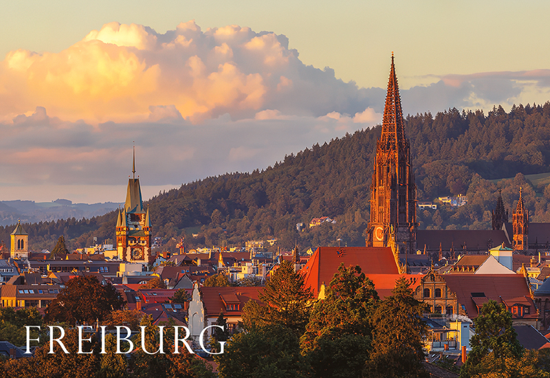 Freiburg-Magnet FR-M-115