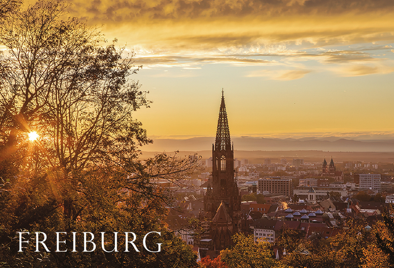 Freiburg-Magnet FR-M-117