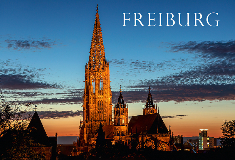 Freiburg-Magnet FR-M-119