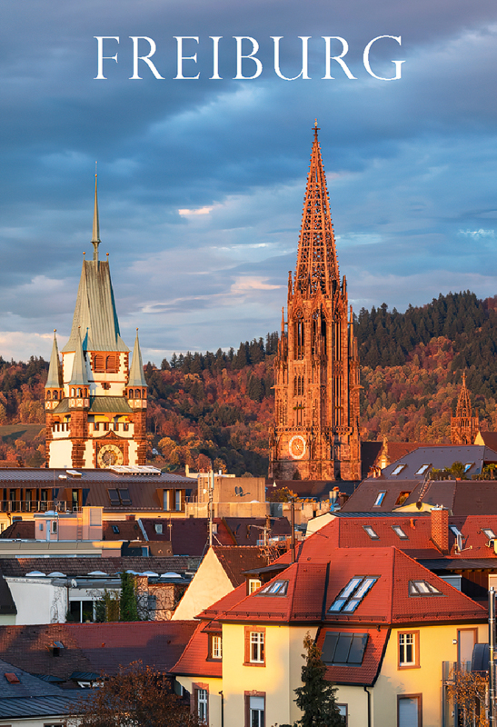 Freiburg-Magnet FR-M-78